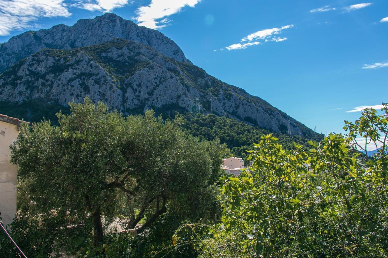 Apartments With A Parking Space Gradac, Makarska - 14708 Exterior photo
